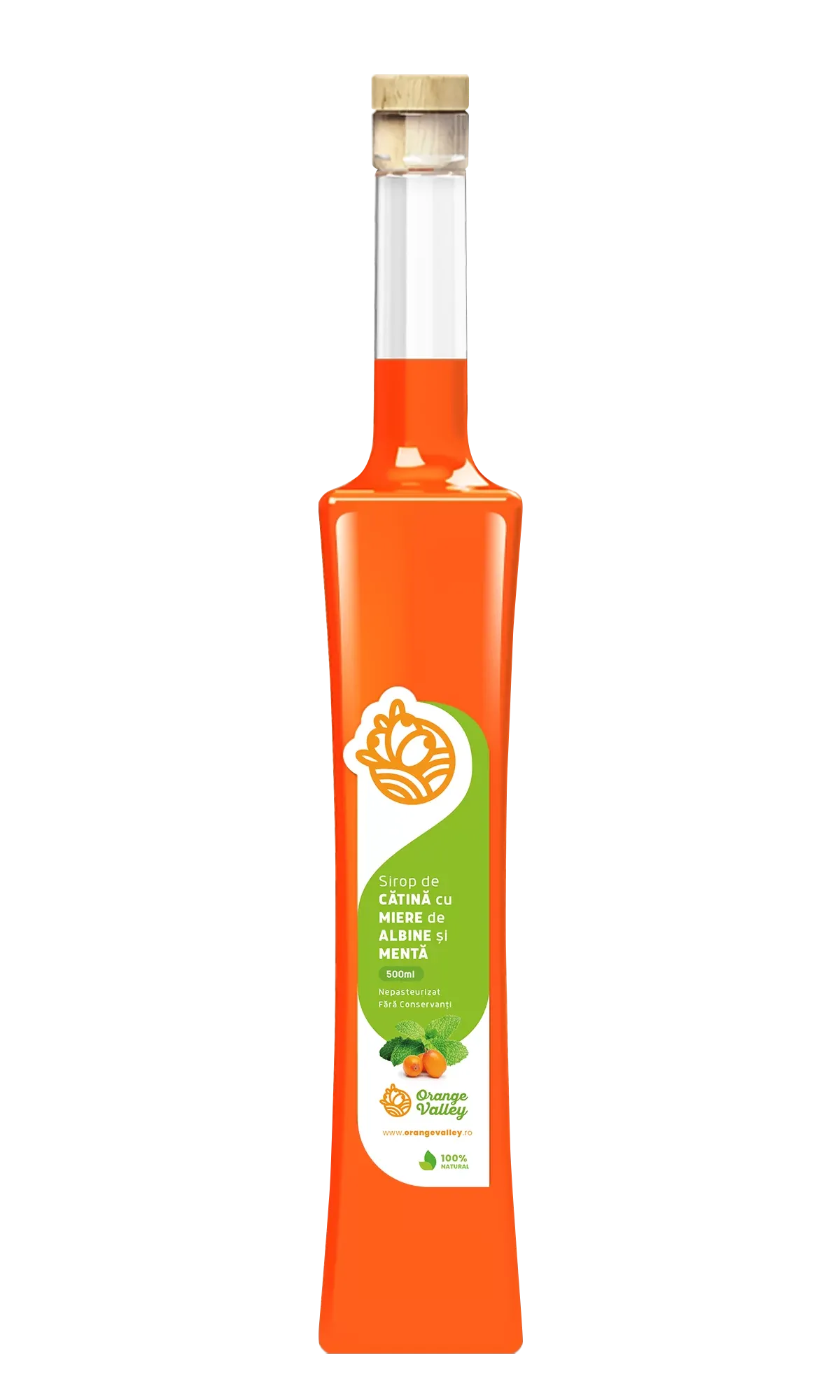 sirop-de-catina-cu-miere-de-albine-menta-500ml.webp